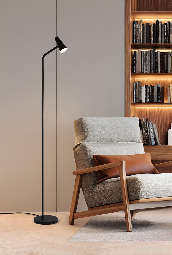 Rechargeable Black Metal LED Floor Lamp